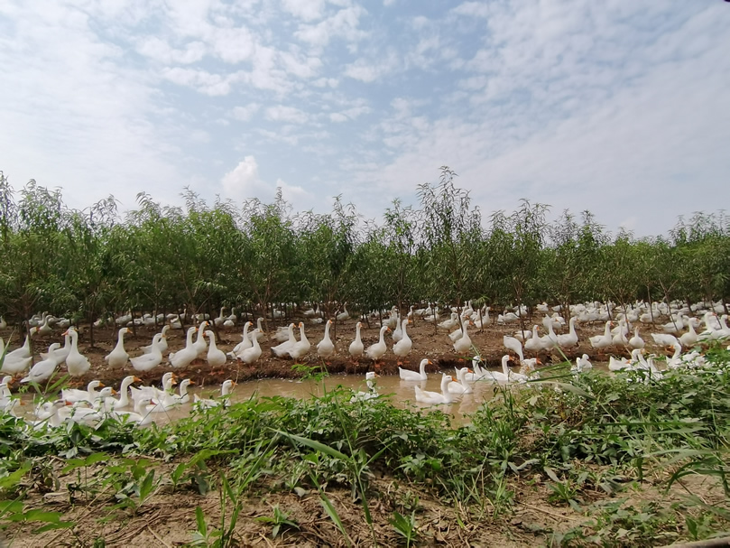 不朽情缘(中国)官方网站入口